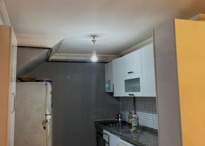 Dalya * 이스탄불